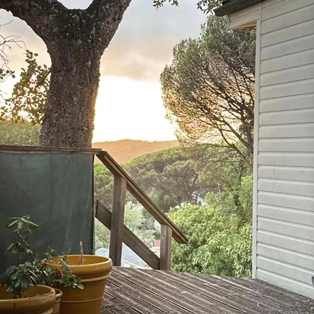 St Tropez Surprise Gassin