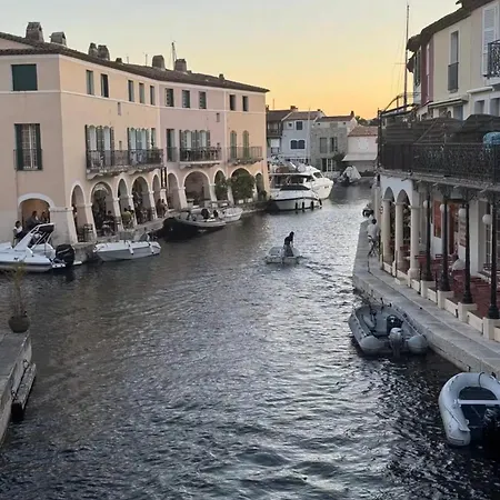 St Tropez Surprise *