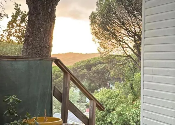 St Tropez Surprise Gassin