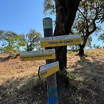 Camping St Tropez Surprise