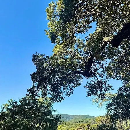 St Tropez Surprise Campeggio *