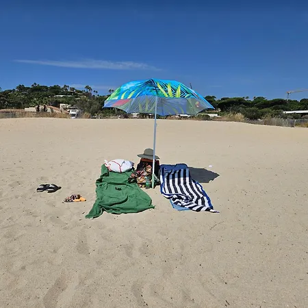 St Tropez Surprise *
